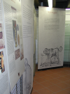 Foto mostra