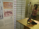 Foto mostra
