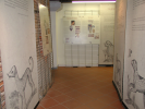Foto mostra