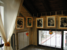 Foto mostra