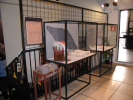 Foto mostra