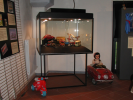Foto mostra