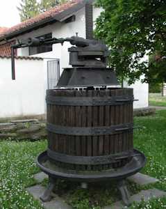 Torchio