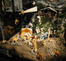 Foto mostra