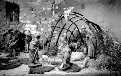 Un pasato natale in Museo