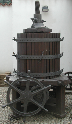 Torchio
