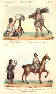 Fai CLICK per ingrandire immagine