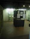 Foto mostra